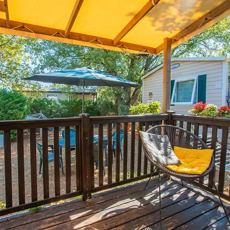 Salamandre 韦尔东的圣克鲁瓦