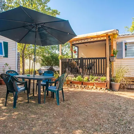 Salamandre Сент-Круа-дю-Вердон