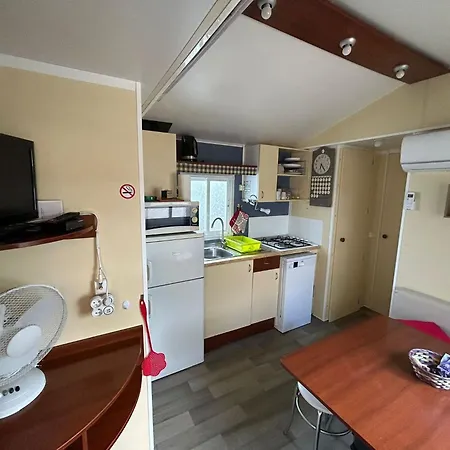 Salamandre * 韦尔东的圣克鲁瓦