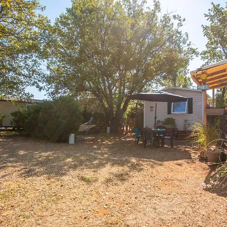 Salamandre * Сент-Круа-дю-Вердон