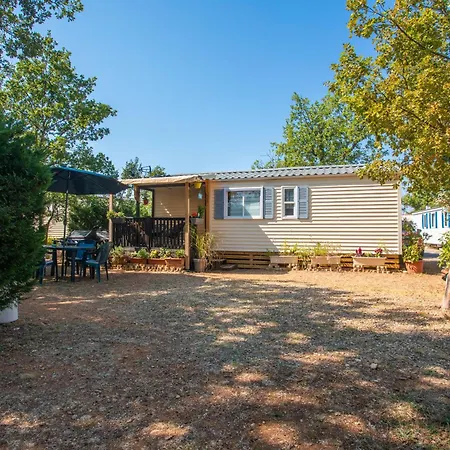 Salamandre Сент-Круа-дю-Вердон