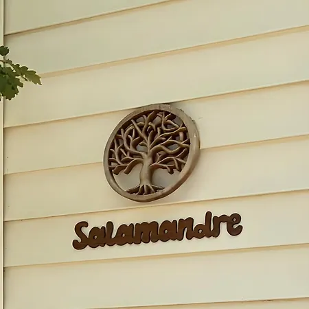 بيت للعطل Salamandre