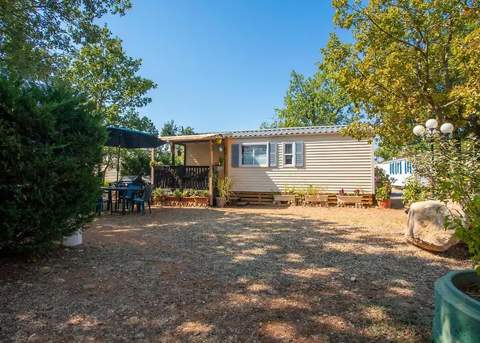 Salamandre Сент-Круа-дю-Вердон